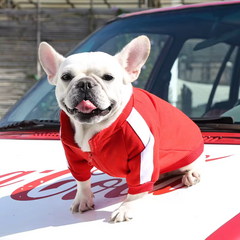 Dog Winter Jacket