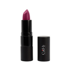 Lipstick Passion