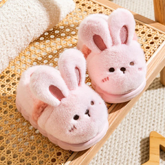 Animal Shapped Slippers