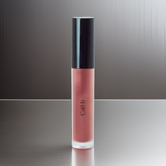 Lip Gloss - Warm Rose
