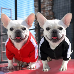 Dog Winter Jacket