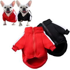Dog Winter Jacket