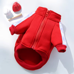Dog Winter Jacket