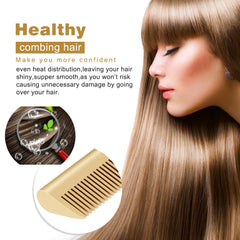 2 in 1  Electric Hot Comb