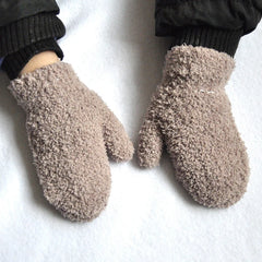 Warm Plush Thick Winter Gloves 
