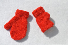 Warm Plush Thick Winter Gloves 