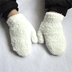 Warm Plush Thick Winter Gloves 