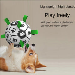 Pet Training Soccer Ball
