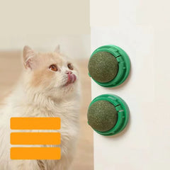 The Catnip Wall Stick-on Ball Toy