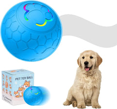 Sturdy Motion Active USB Rechargeable Ball
