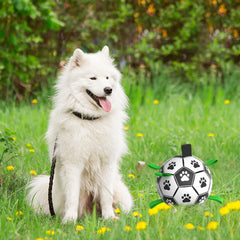 Pet Training Soccer Ball