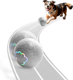 Sturdy Motion Active USB Rechargeable Ball