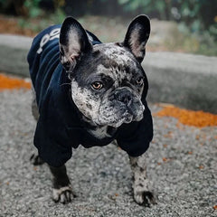 Pet Dog Hoodies