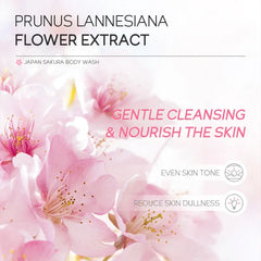 Gentle Foam Body Cleansing Bath Product