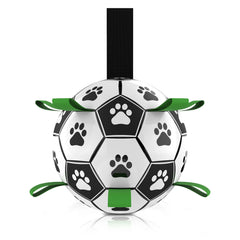 Pet Training Soccer Ball