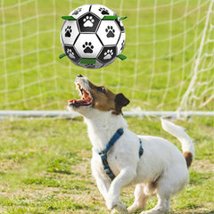 Pet Training Soccer Ball