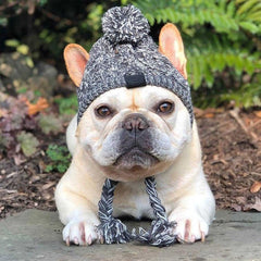 Winter Dog Hat with Pom Pom