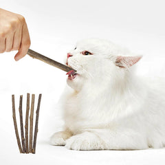 Silvervine Sticks for Cats Natural Catnip Chew Sticks