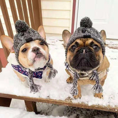 Winter Dog Hat with Pom Pom