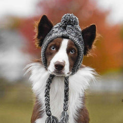 Winter Dog Hat with Pom Pom