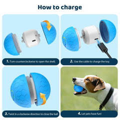 Sturdy Motion Active USB Rechargeable Ball