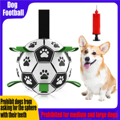 Pet Training Soccer Ball