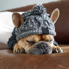 Winter Dog Hat with Pom Pom