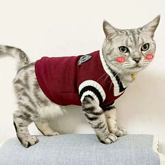 Autumn Pet Sweater
