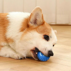 Automatic Toy Smart Ball