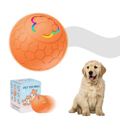 Sturdy Motion Active USB Rechargeable Ball