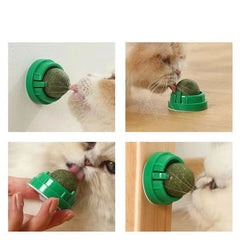 The Catnip Wall Stick-on Ball Toy