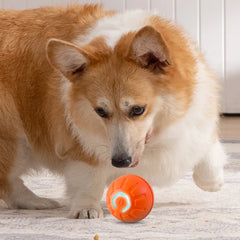 Automatic Toy Smart Ball