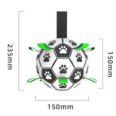 Pet Training Soccer Ball