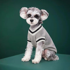 Autumn Pet Sweater