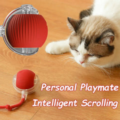 Automatic Rolling Ball