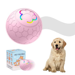 Sturdy Motion Active USB Rechargeable Ball