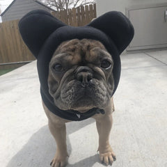 Cute Dog's Fleece Bat Hat Soft Warm