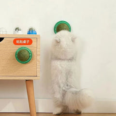 The Catnip Wall Stick-on Ball Toy