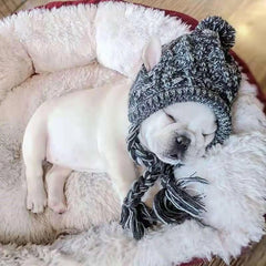 Winter Dog Hat with Pom Pom
