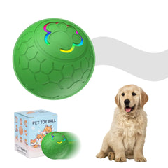 Sturdy Motion Active USB Rechargeable Ball