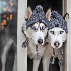 Winter Dog Hat with Pom Pom
