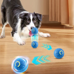 Automatic Toy Smart Ball