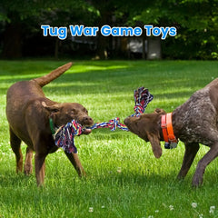 Knot Dog Toys Indestructible Durable Dog Chew Toys