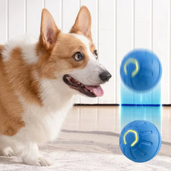 Automatic Toy Smart Ball