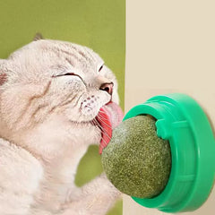 The Catnip Wall Stick-on Ball Toy