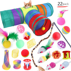 Variety Cat Toy Combination 20 Piece Set