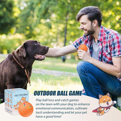 Sturdy Motion Active USB Rechargeable Ball