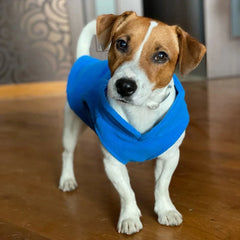 Warm Fleece Dogs Clothes