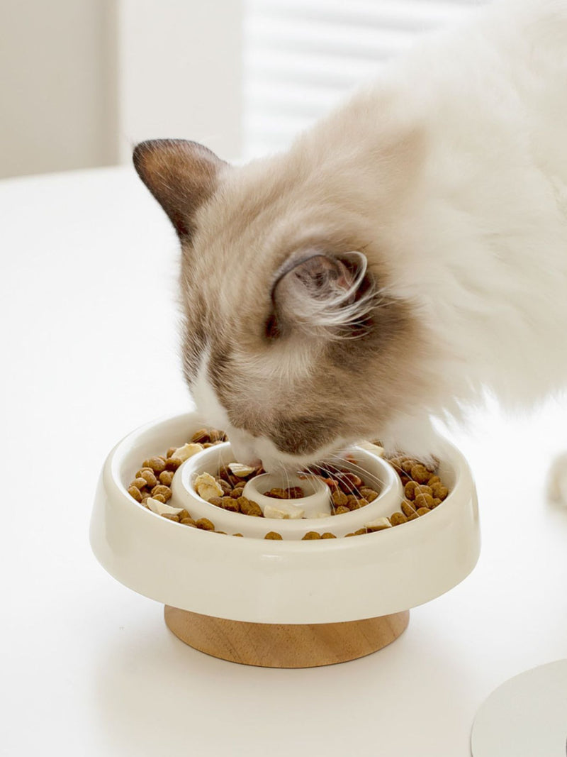 ac35293a-be55-4442-9788-689ec824a906-Max