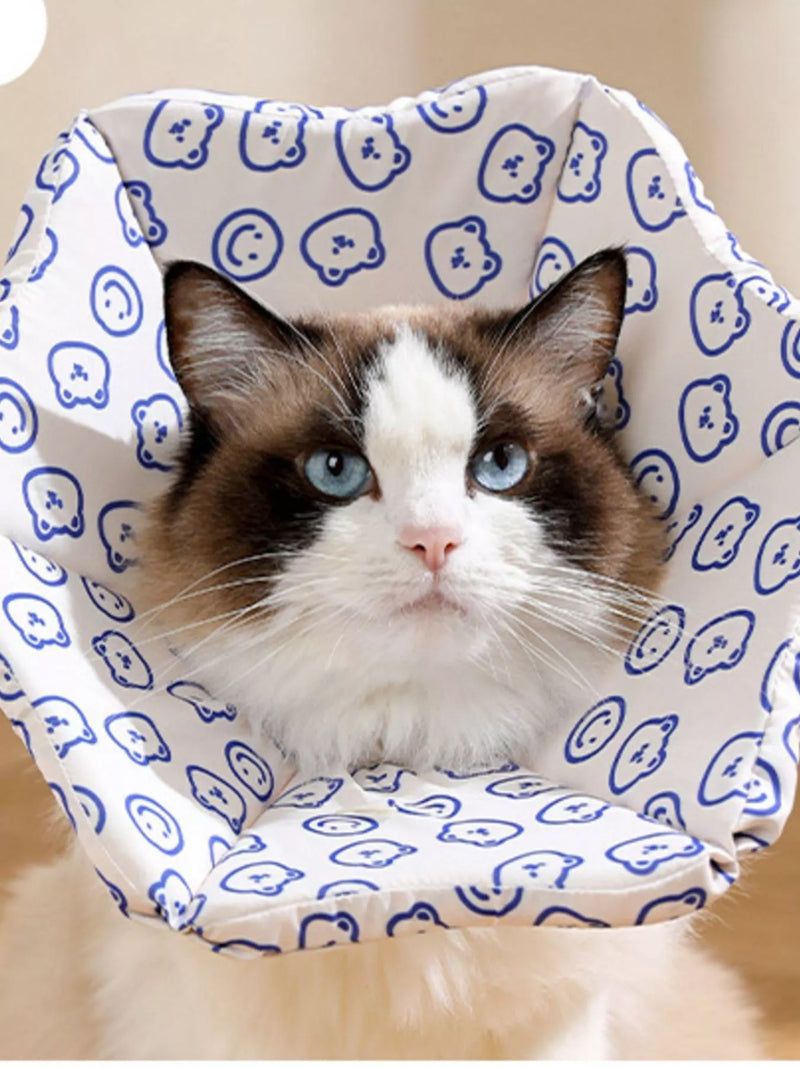 af095dd6-06da-47a6-83e4-bf1ab2c4fe3e-Max-Origin